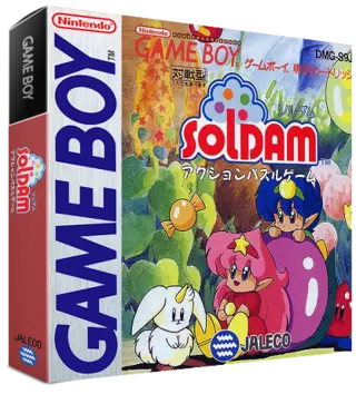 jeu Soldam